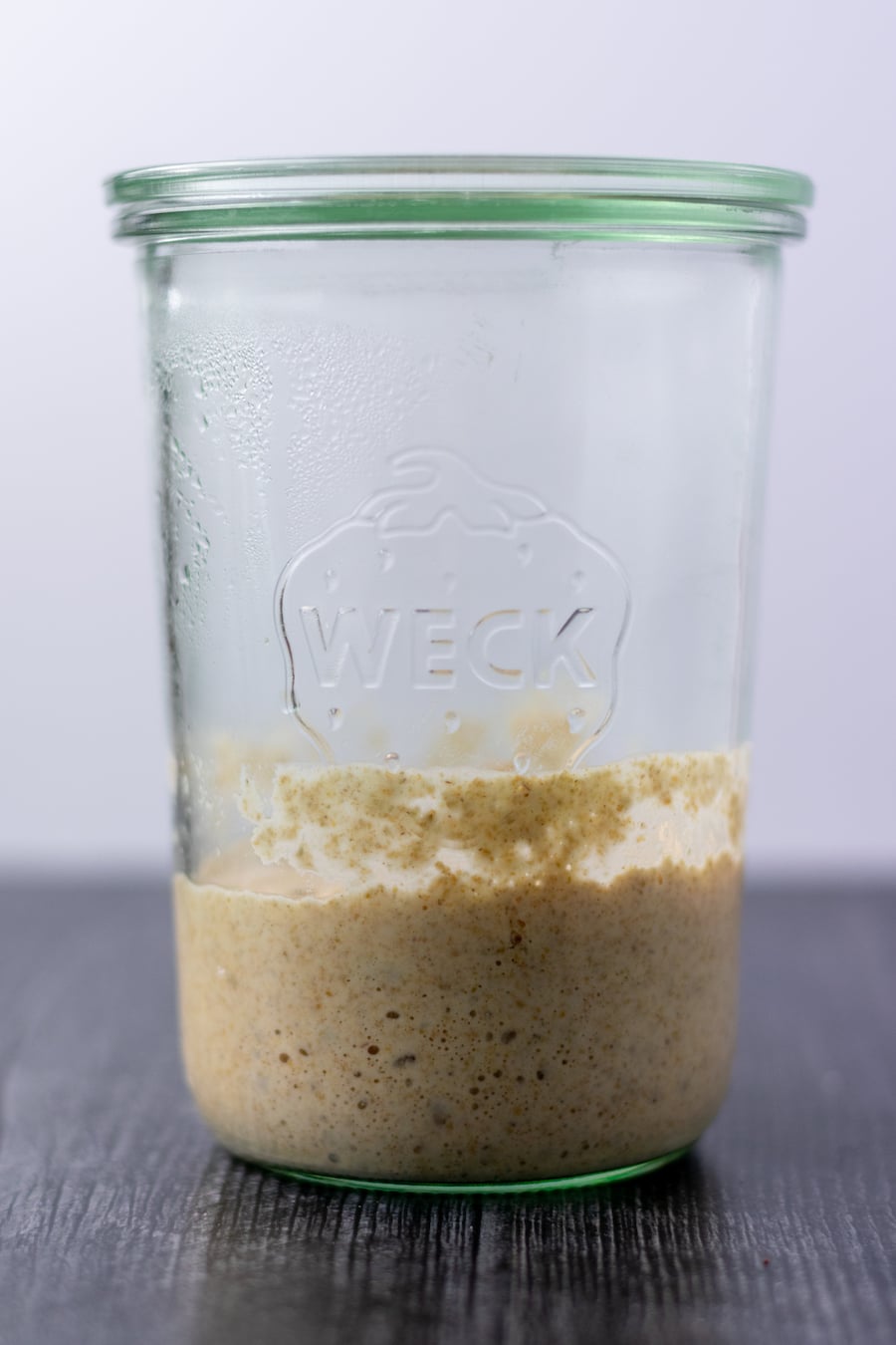 Sourdough Starter Day 3 Profile with some rise and fall after feeding