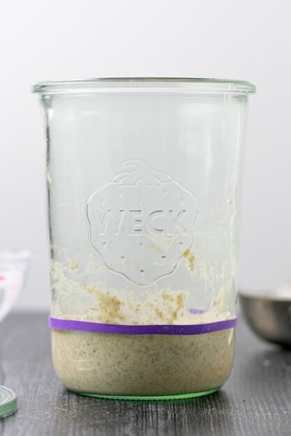 Profile of sourdough starter with rubber band