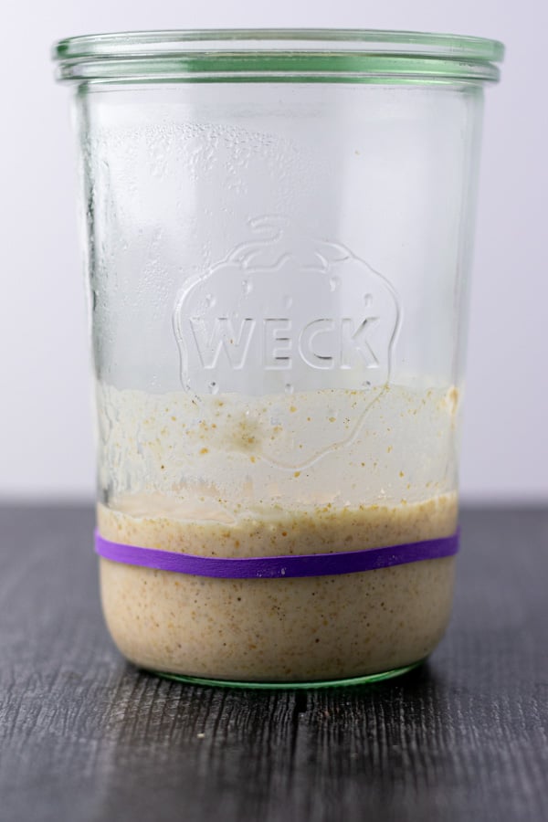 Sourdough starter day 7 after doubled