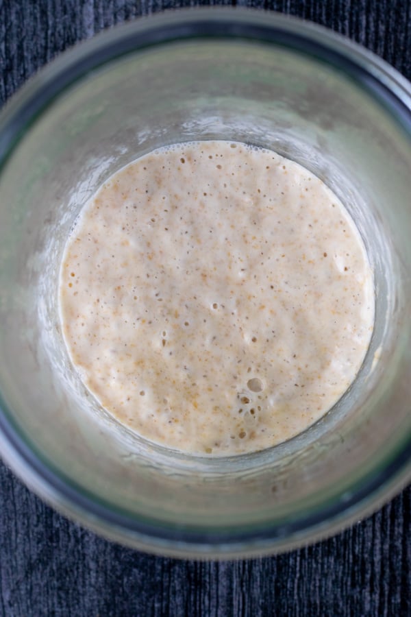 Sourdough starter day 7 doubled overhead