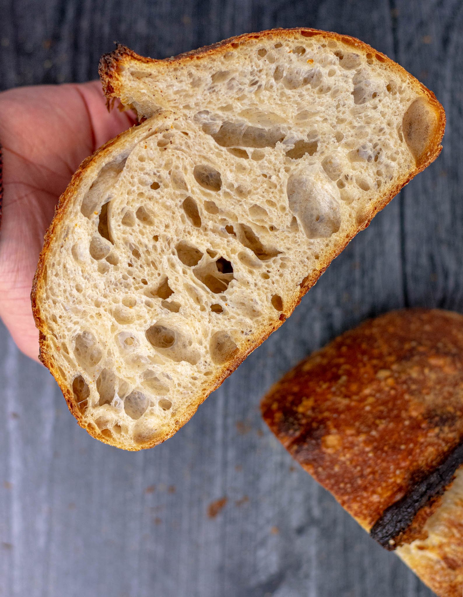 Overhead crumbshot of interior of everyday sourdough bread and crust