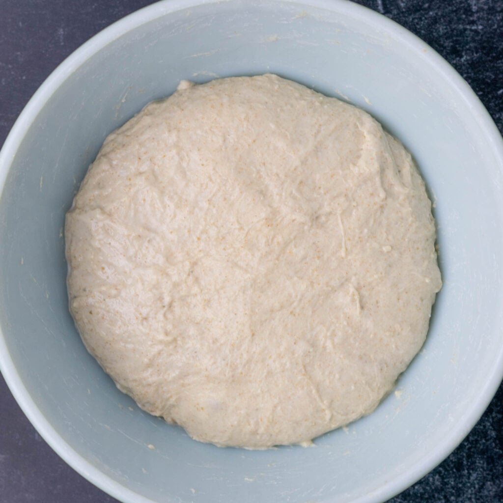 Dough before bulk fermentation in bowl
