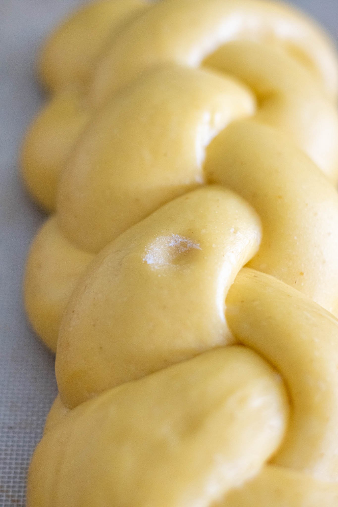 Sourdough challah finger poke test