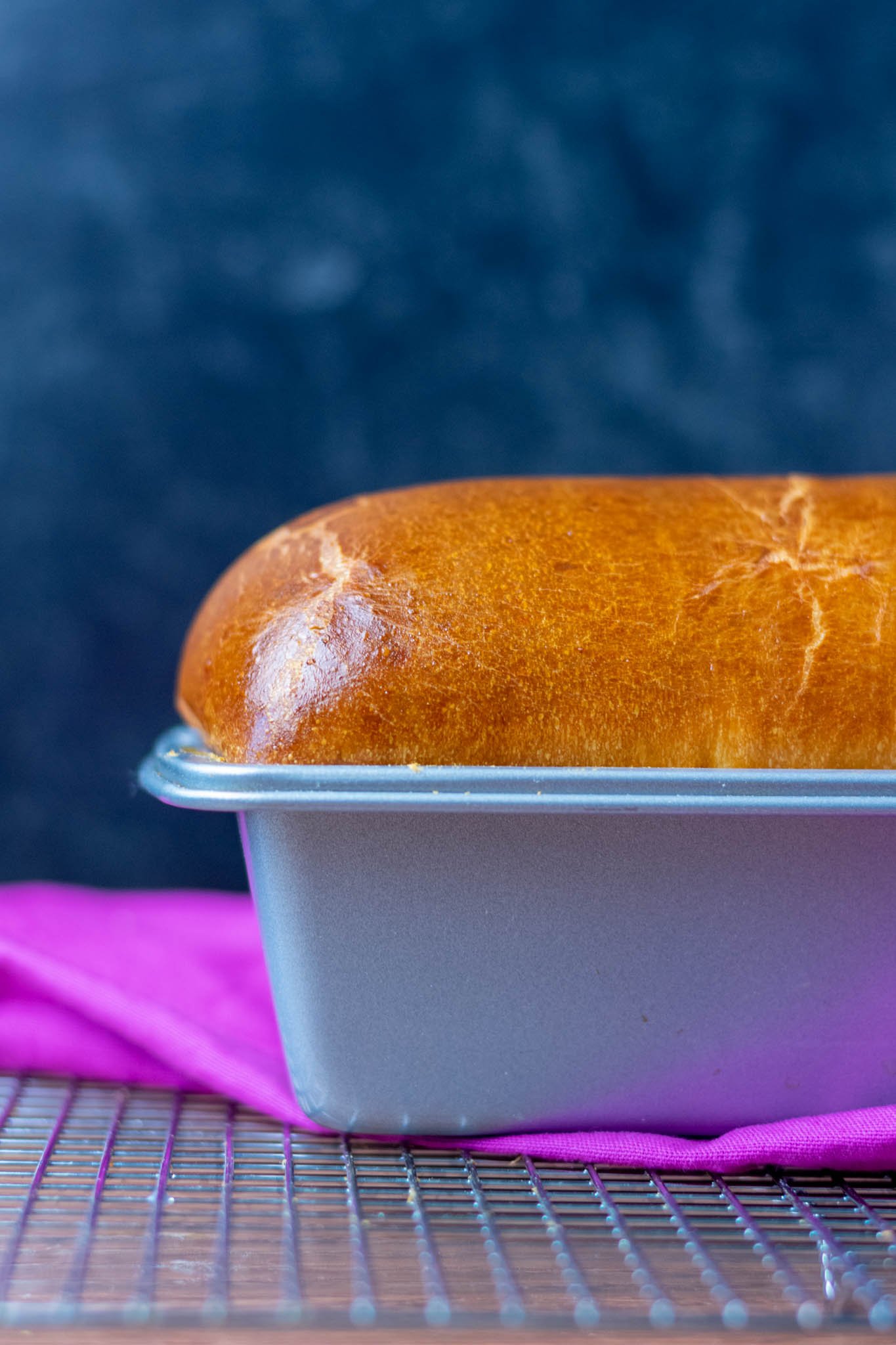 Brown crust of baked sourdough cinnamon raisin bread loaf in pan with purple towel on wire rack