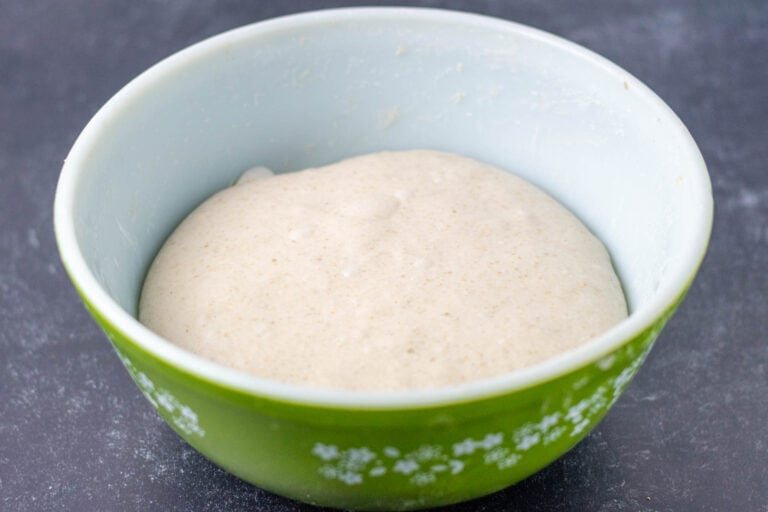 Bulk fermentation sourdough dough in bowl