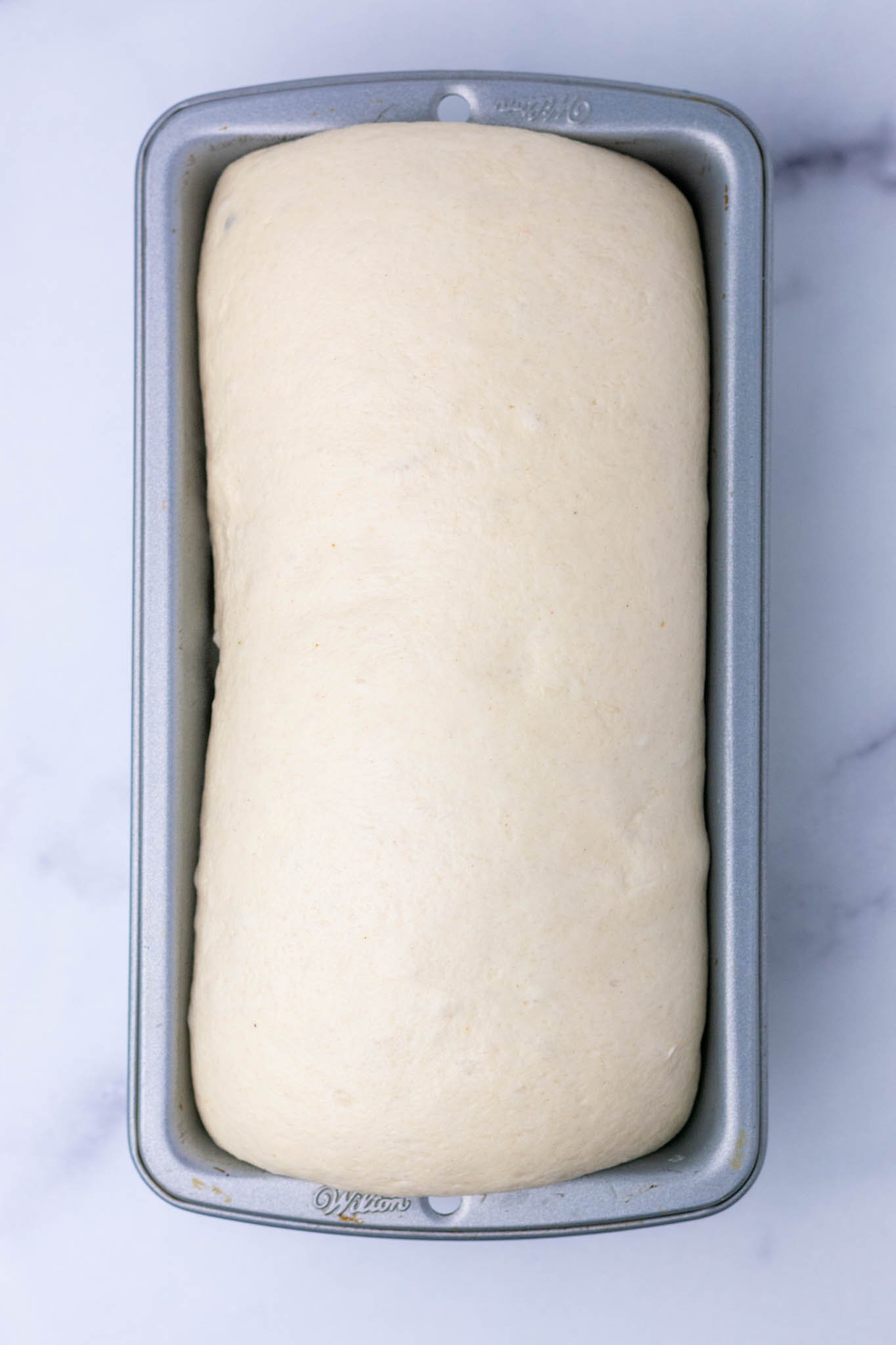 Sourdough sandwich bread dough in bread loaf pan at end of final proof