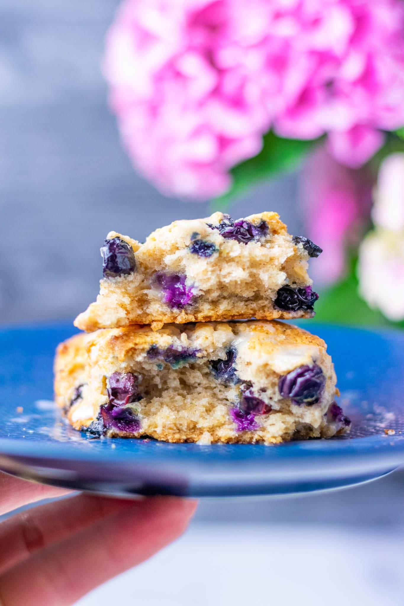 Interior of sourdough discard blueberry scones on plate