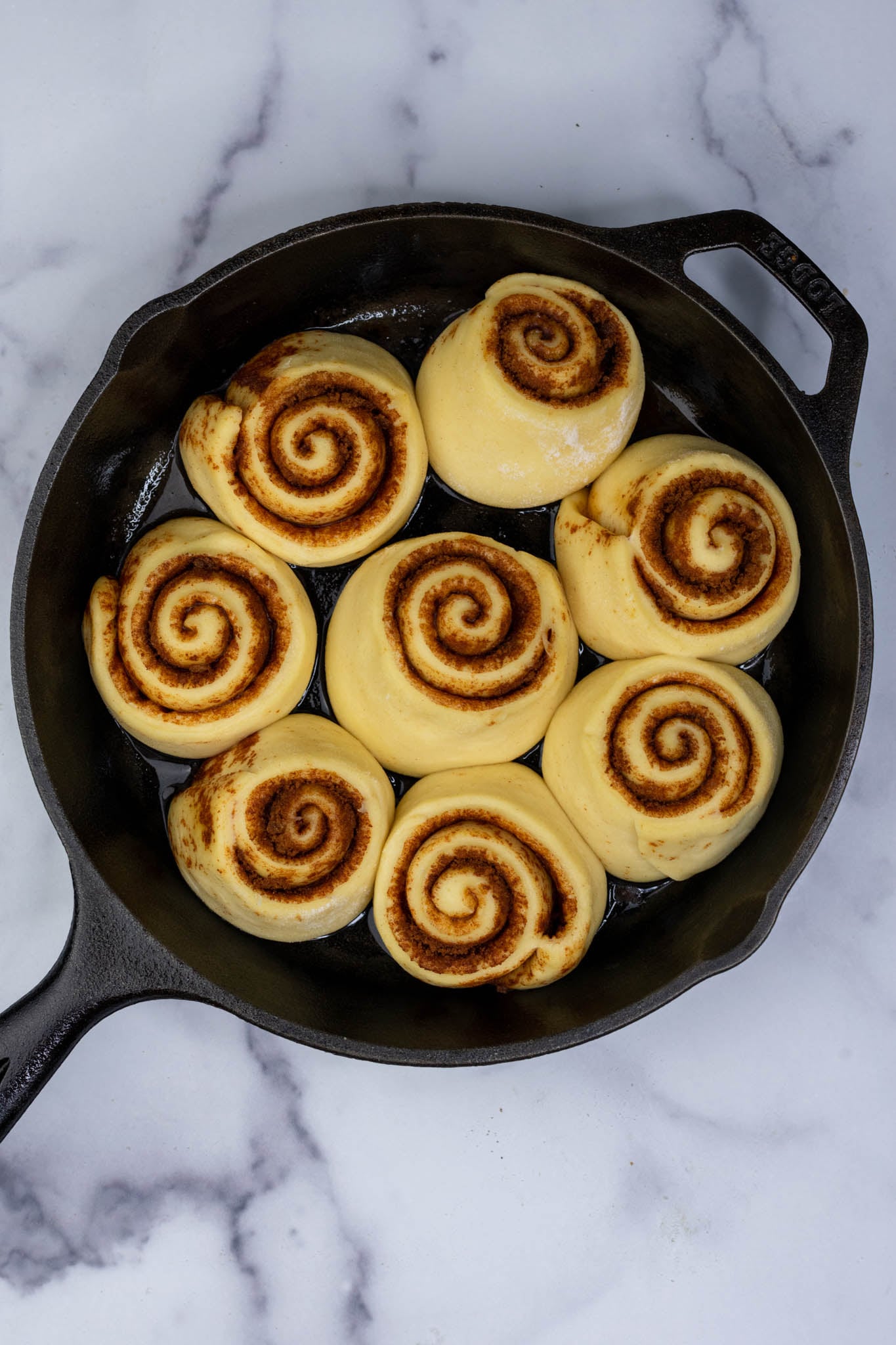Eight sourdough cinnamon rolls in a cast iron skillet at the end of proofing