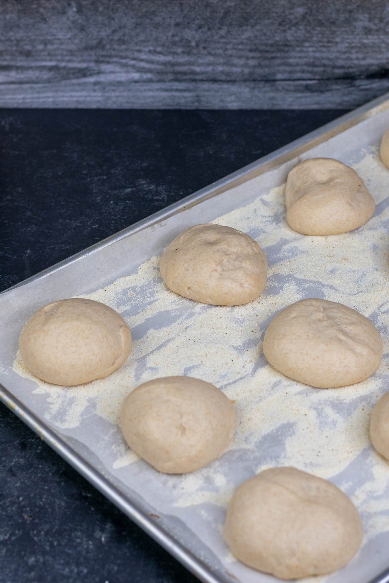 Sourdough English Muffins fully proofed on sheet pan with semolina