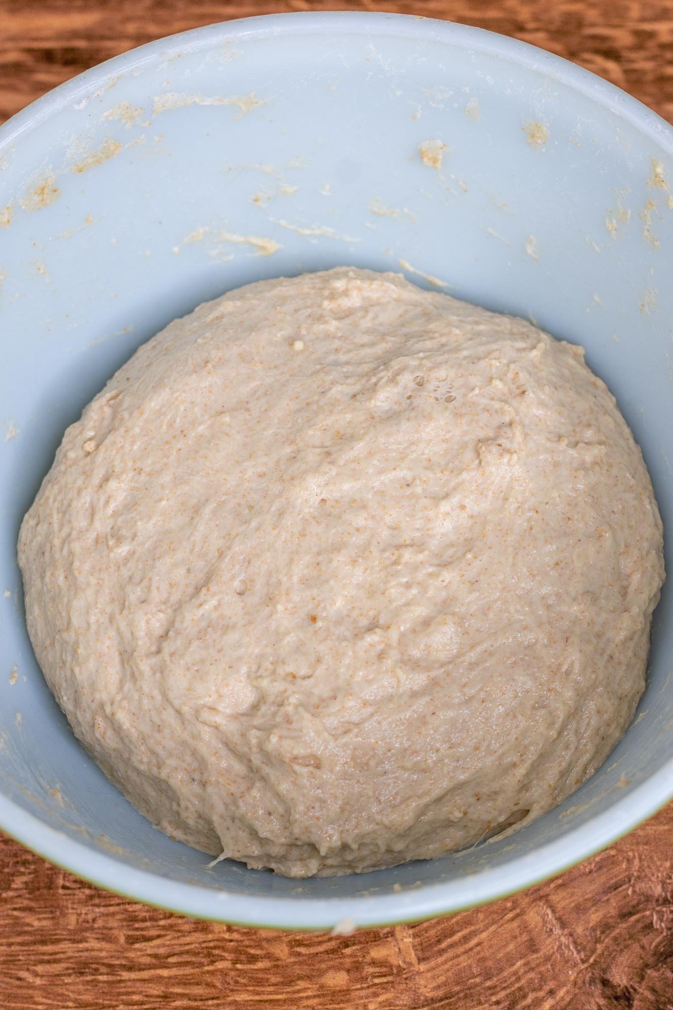 Dough in bowl at the start of bulk fermentation