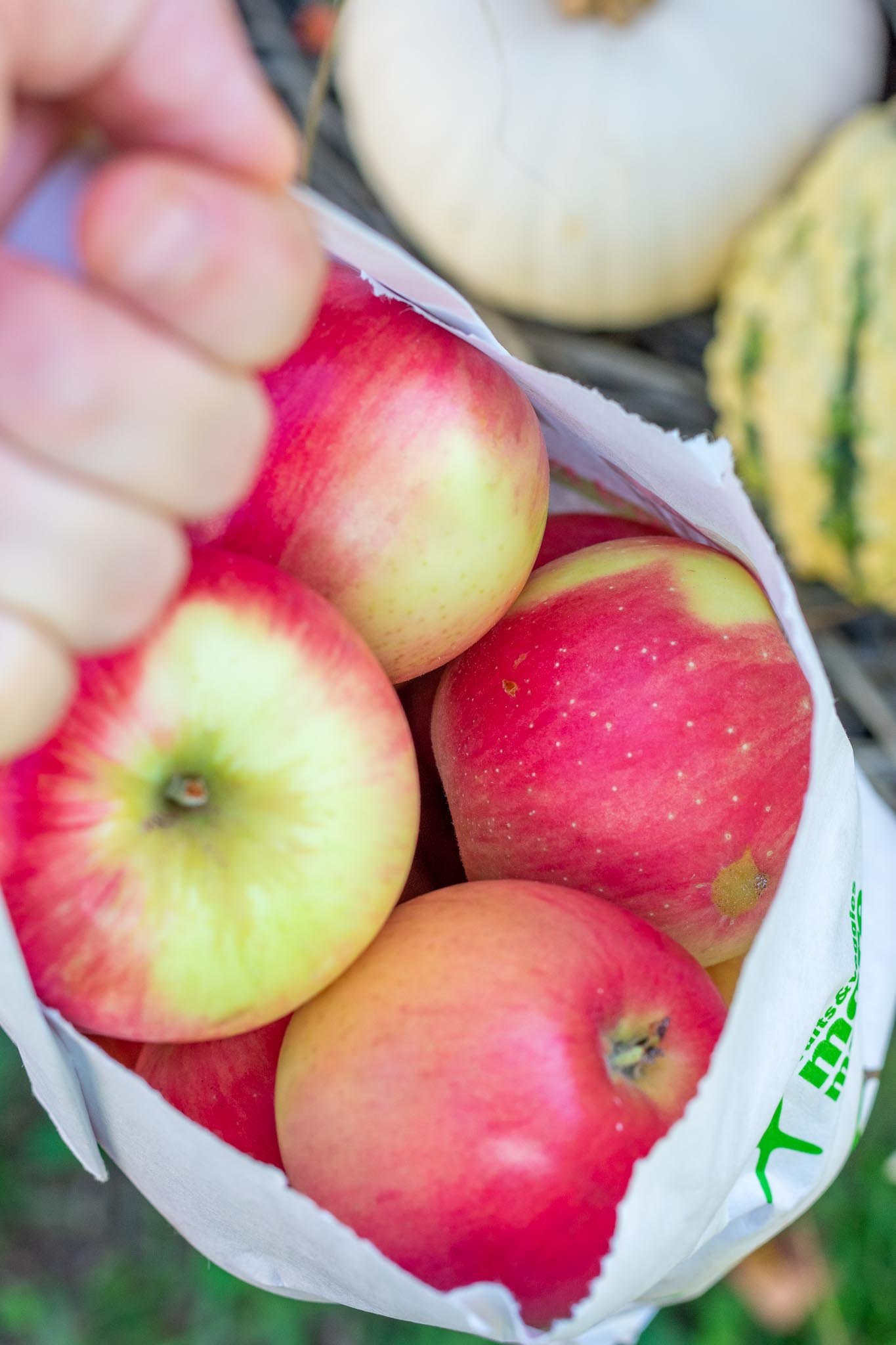 Hand carrying a bag of apples.