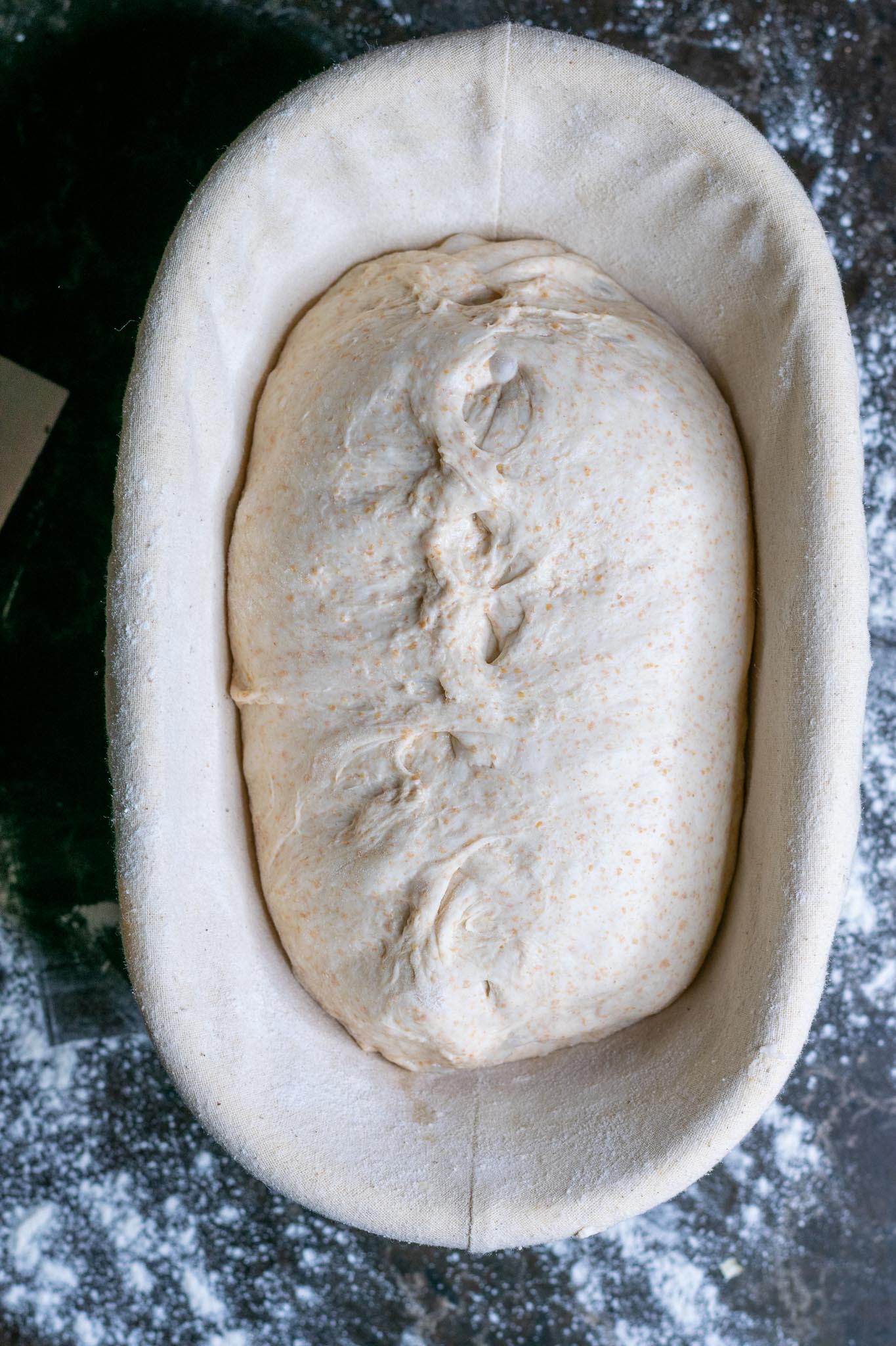 Spelt sourdough bread in oval banneton