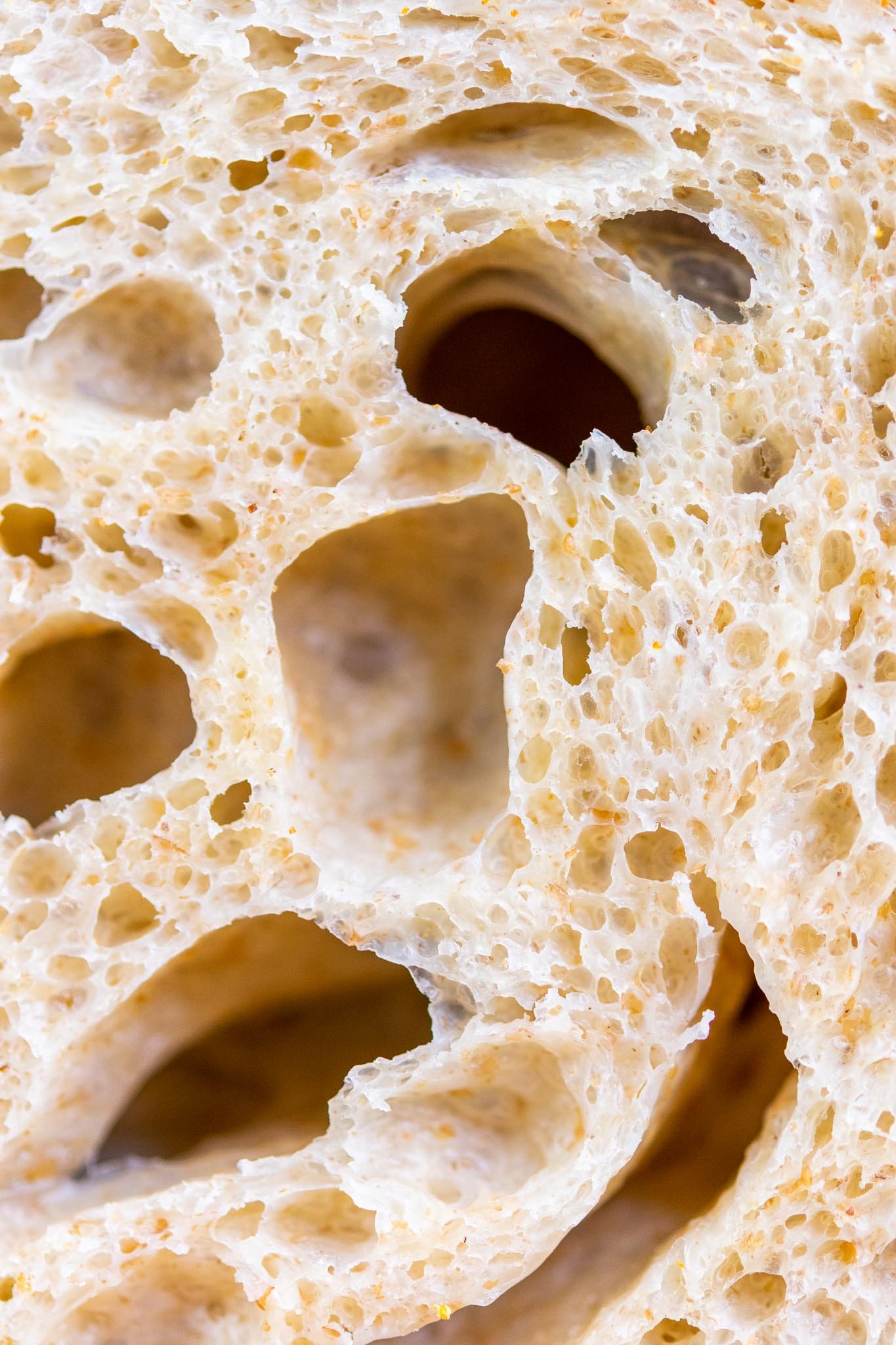 Close up interior of crumb interior of spelt sourdough bread