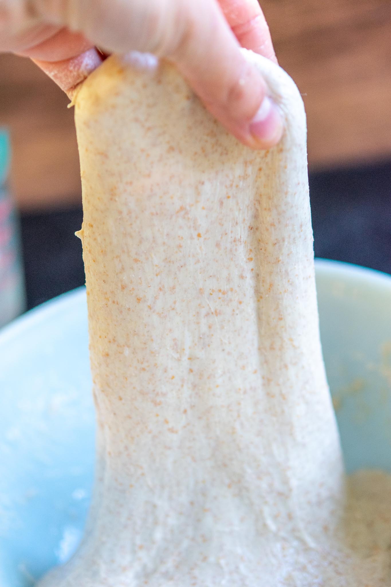 Stretching spelt sourdough bread in bowl
