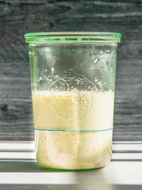 Sourdough Starter doubled in a glass jar with a rubber band