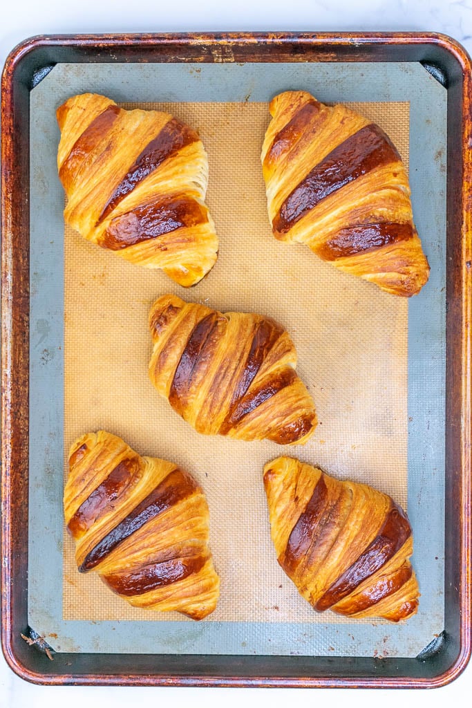 Five sourdough croissants on a baking sheet baked
