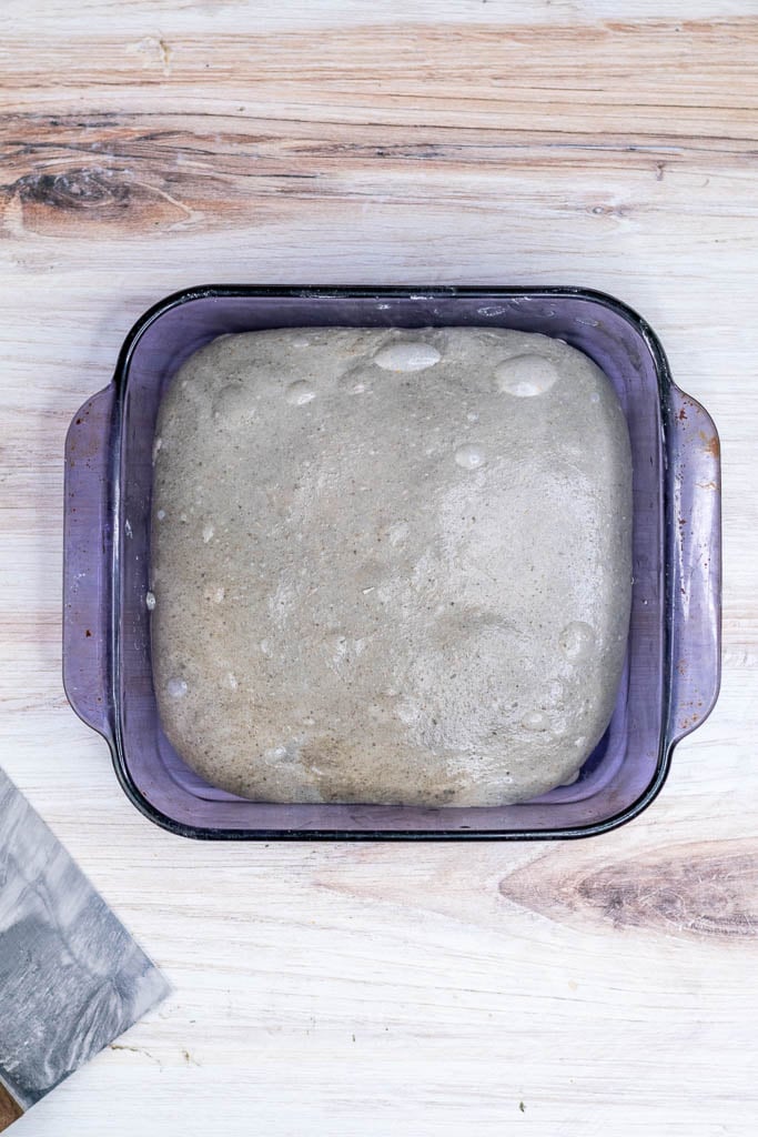 Black sesame sourdough in container at the end of bulk fermentation