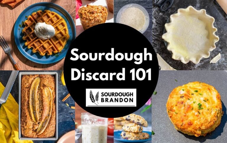 Sourdough Discard 101 image with photos of various sourdough discard recipes