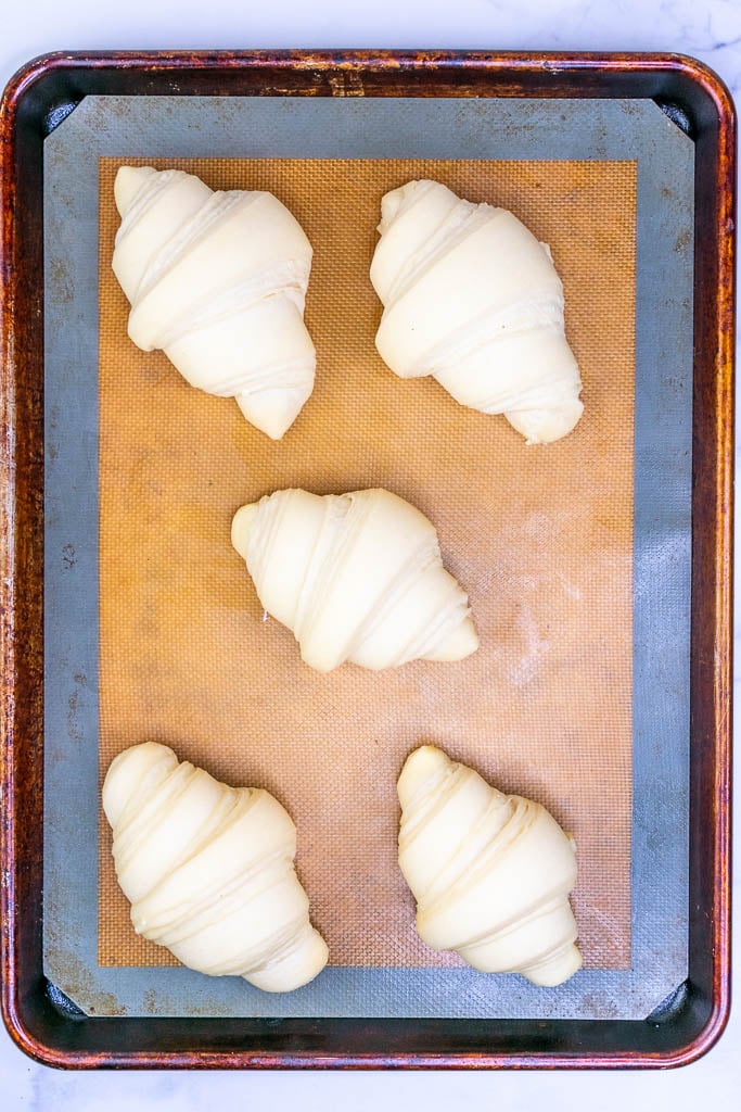Five sourdough croissants on baking sheet doubled in size at the end of proofing