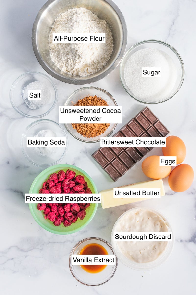 Ingredients needed for chocolate sourdough biscotti including flour, sugar, salt, baking soda, cocoa powder, chocolate, eggs, freeze-dried raspberries, unsalted butter, sourdough discard, and vanilla extract