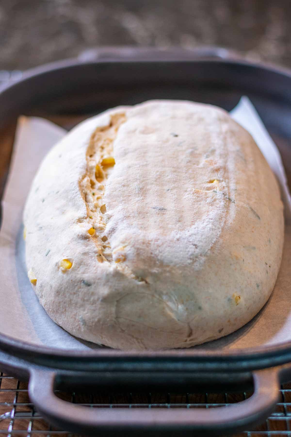 Dough scored on top of pan