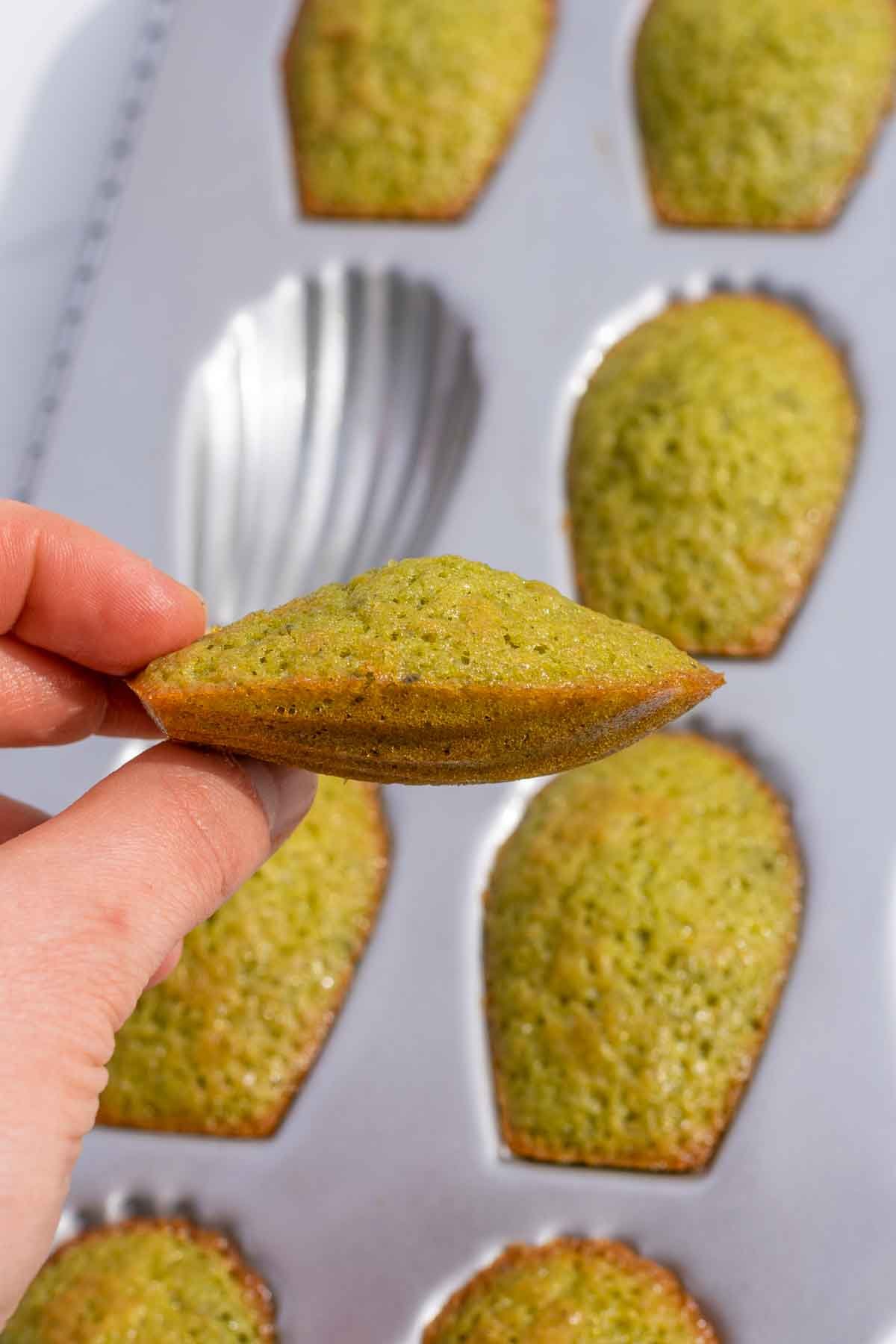 Hand holding the side of a sourdough matcha madeleine with hump on the back