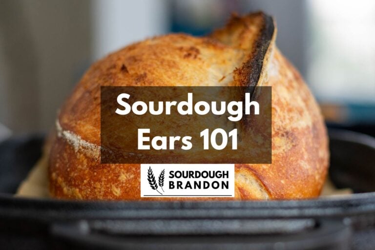 Sourdough bread on a pan with a sourdough ear