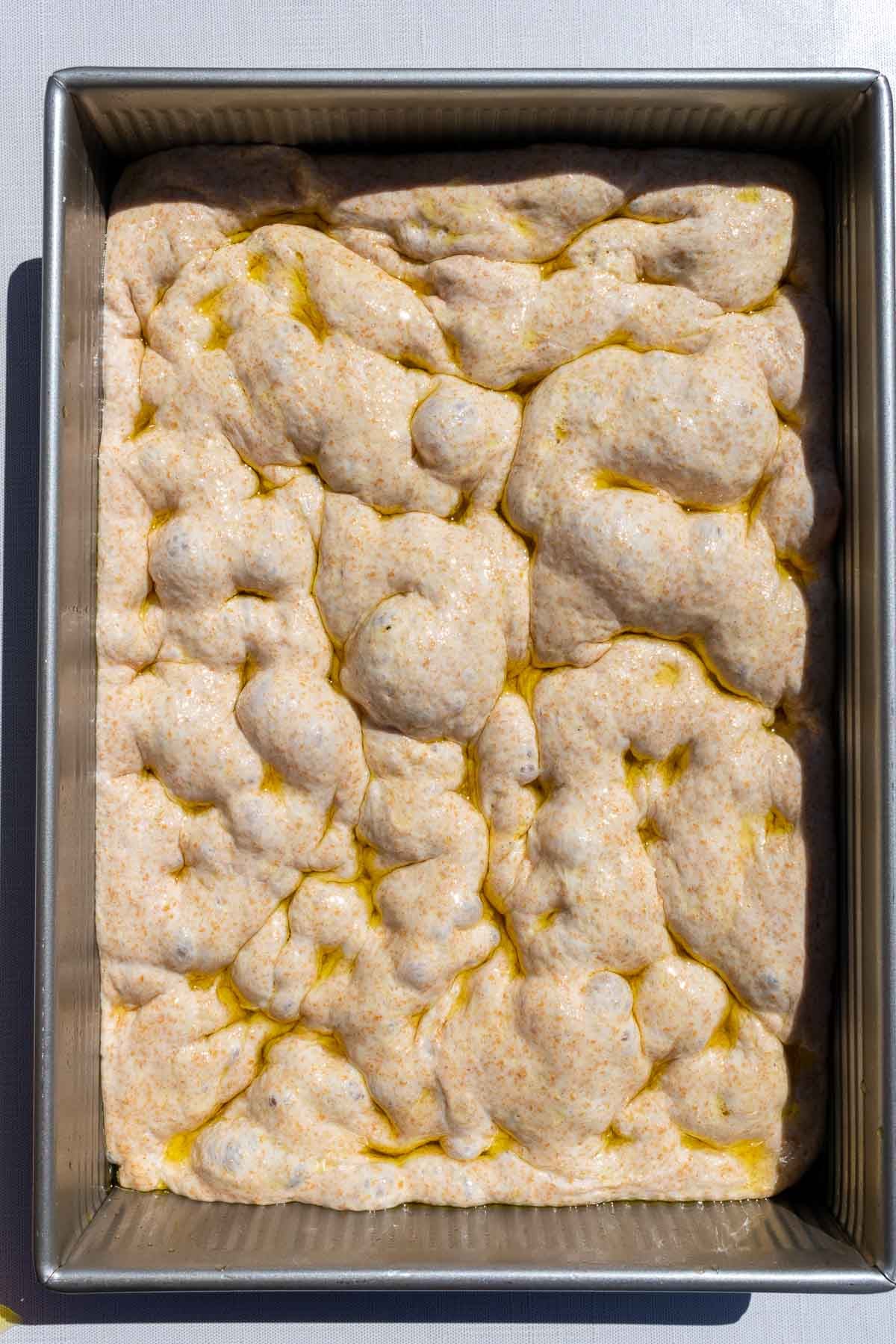 Dimpled focaccia dough in baking pan with olive oil