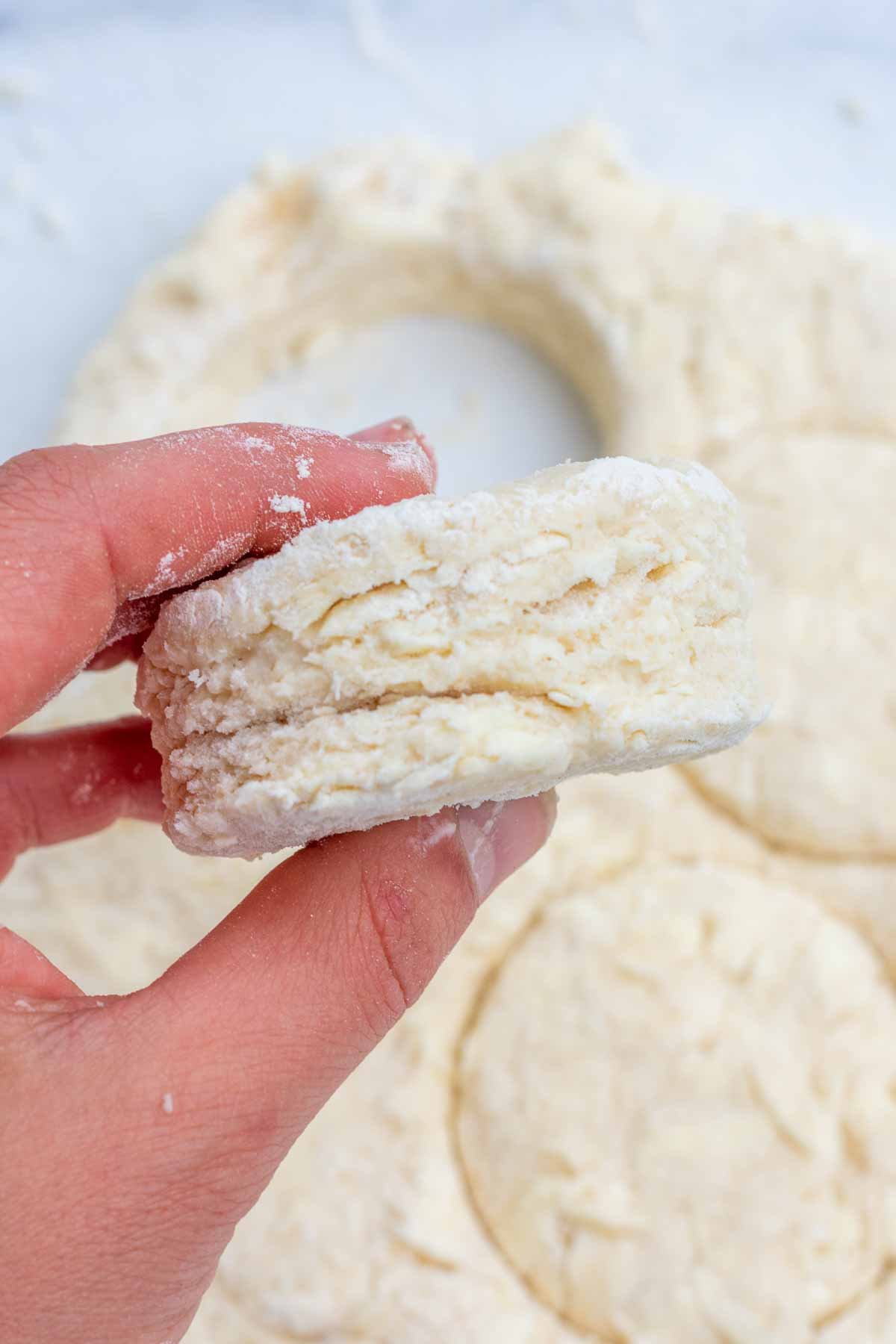 Cut sourdough shortcake with many layers showing