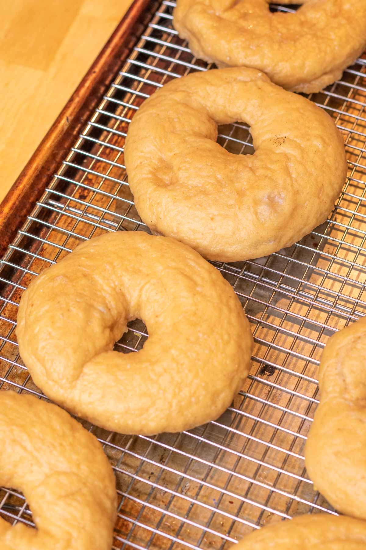 Boiled sourdough bagels on wire rack