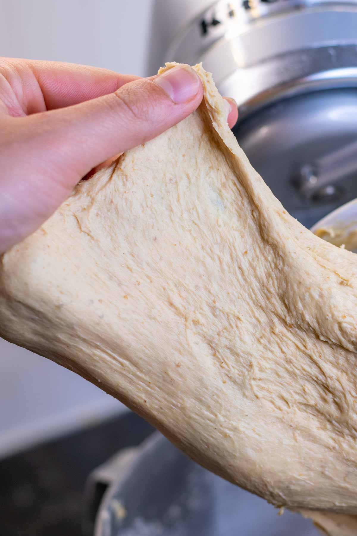 Hand stretching the bagel dough into a thin membrane to pass the windowpane test