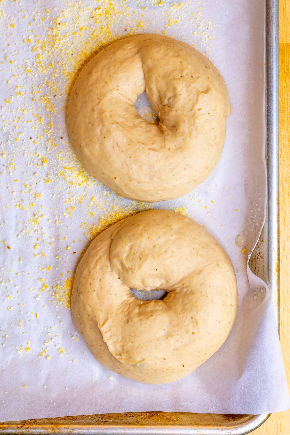 Sourdough bagels on baking sheet at the end of proofing