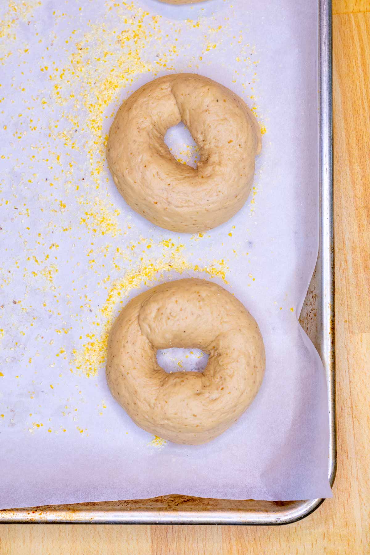 Sourdough bagels on baking sheet at the start of proofing
