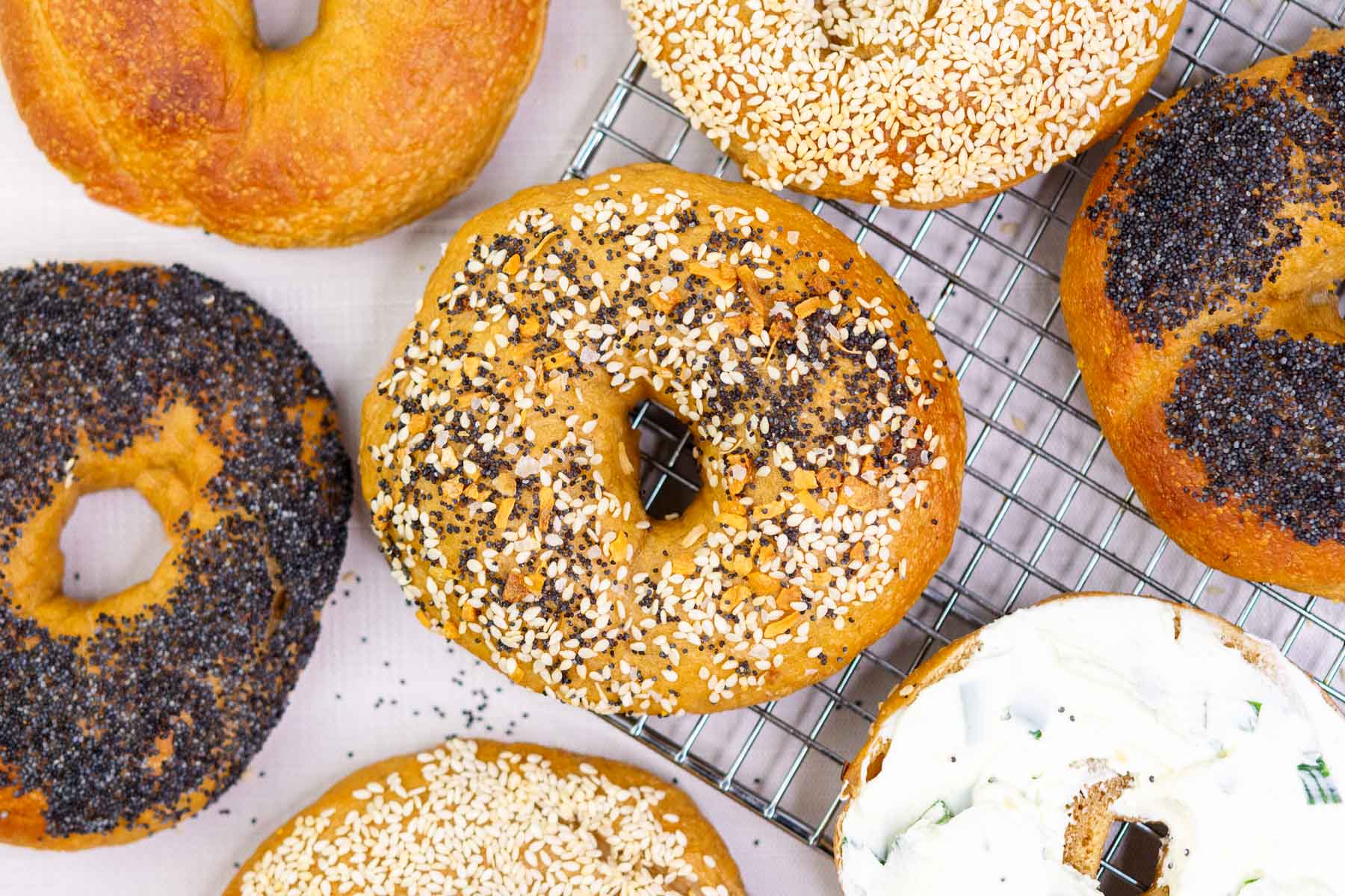 Sourdough bagels on a wire rack with different toppings