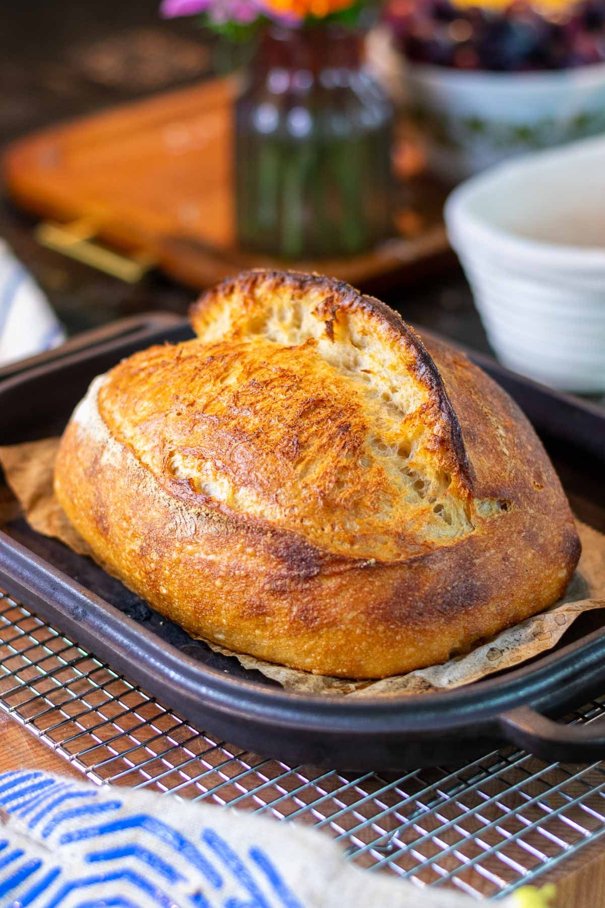 Baked beginner's einkorn sourdough bread on pan with a sourdough ear