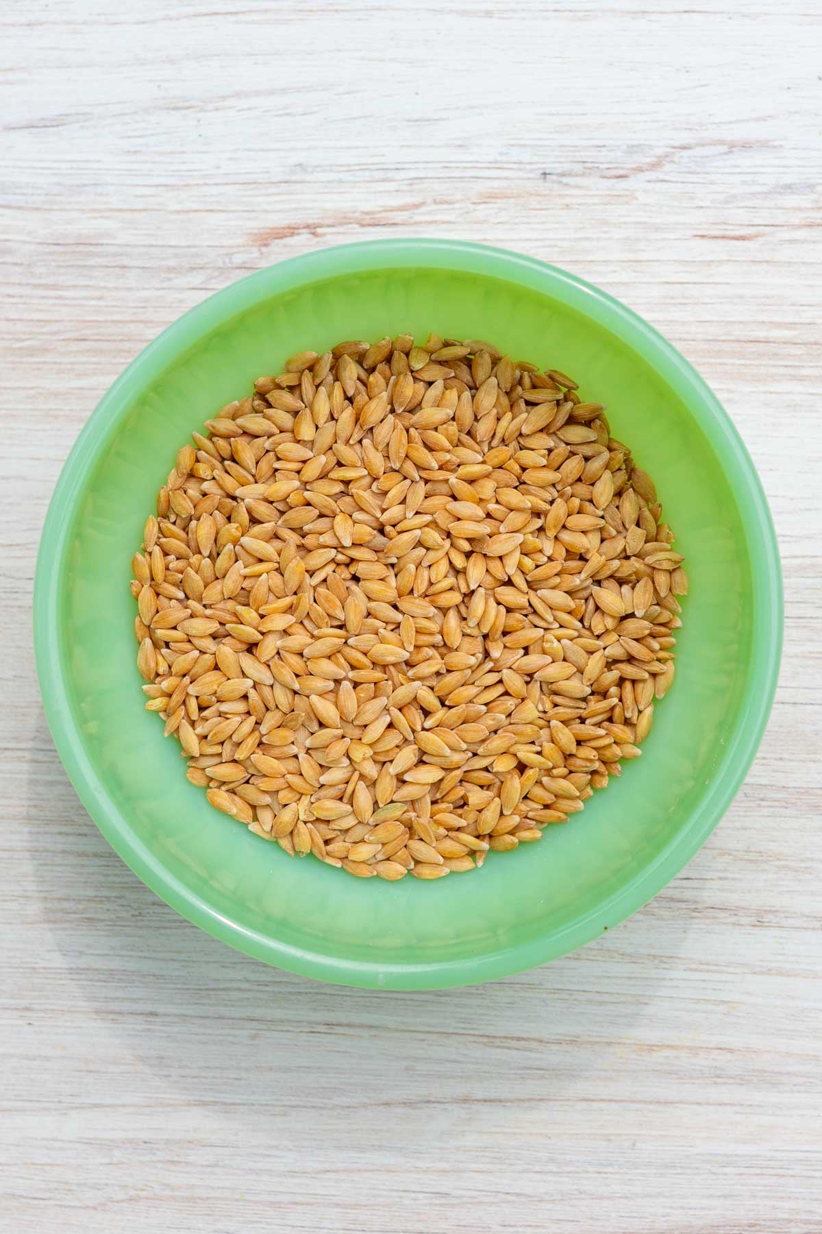 Bowl of einkorn berries