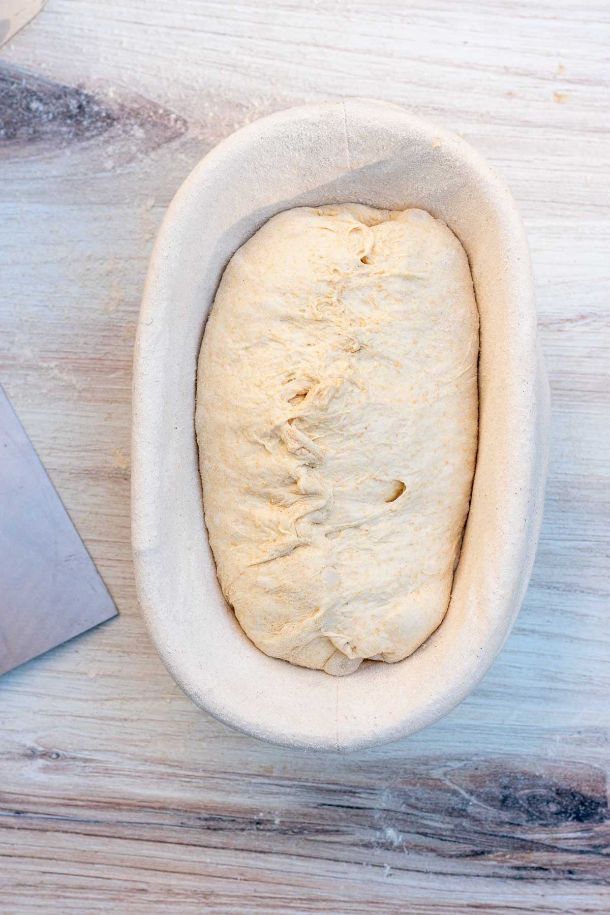 Einkorn sourdough bread shaped in banneton proofing basket