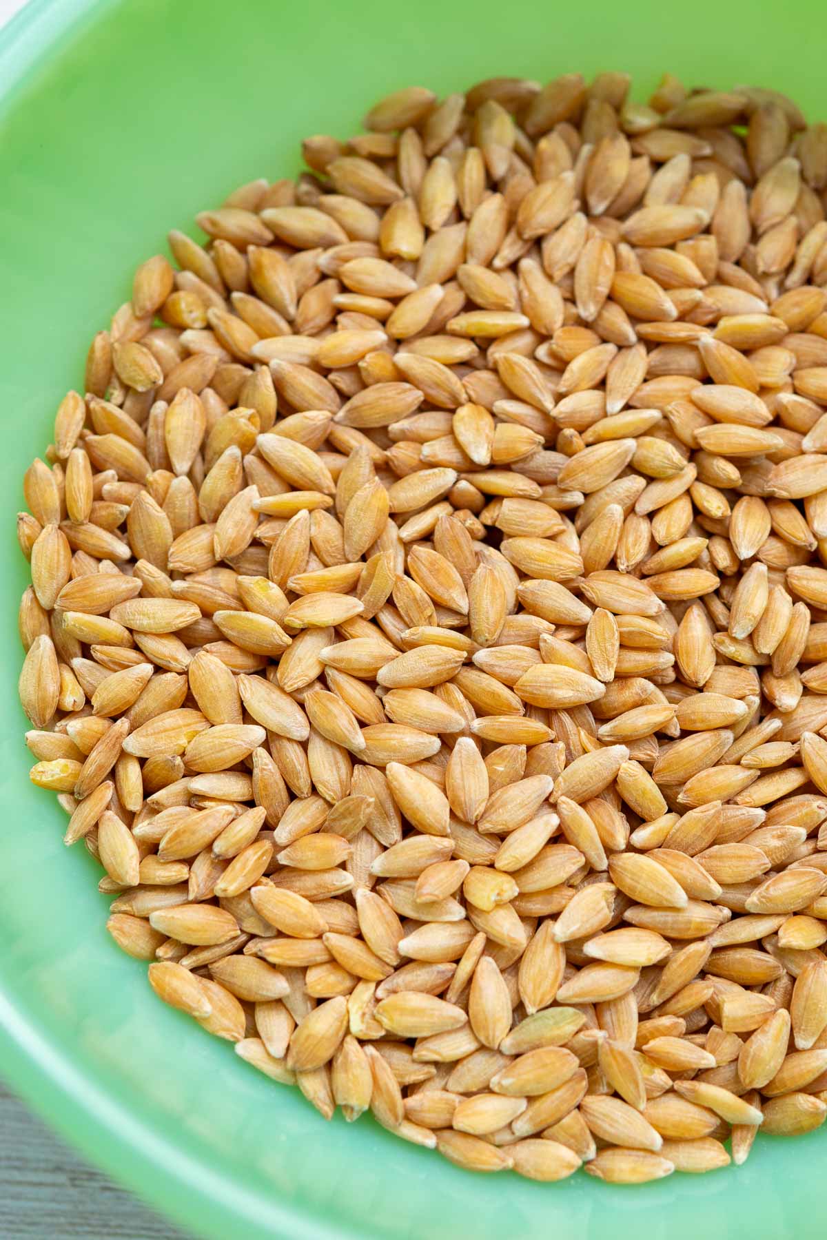 Einkorn berries in a bowl