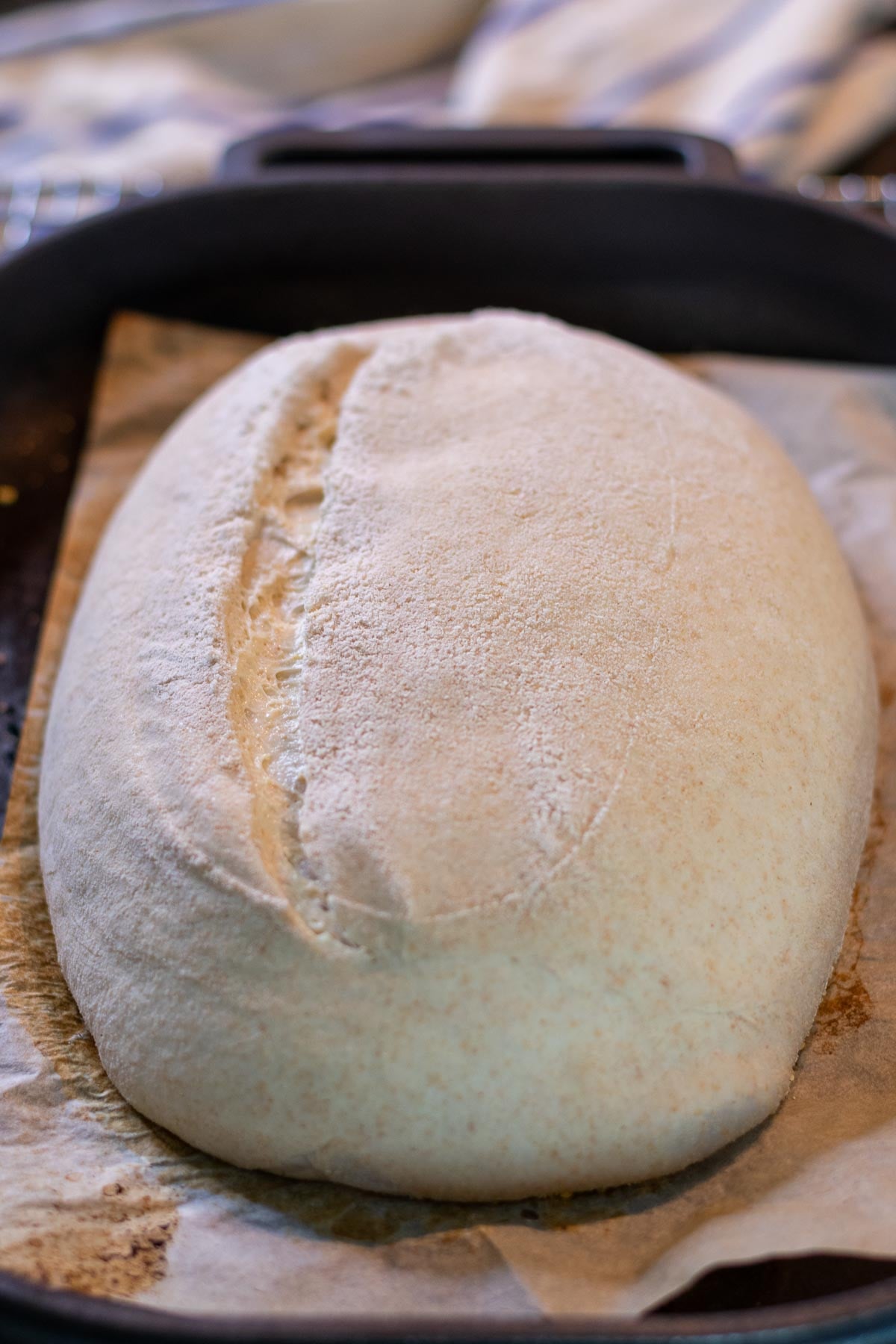 Scored beginner's einkorn sourdough bread in pan