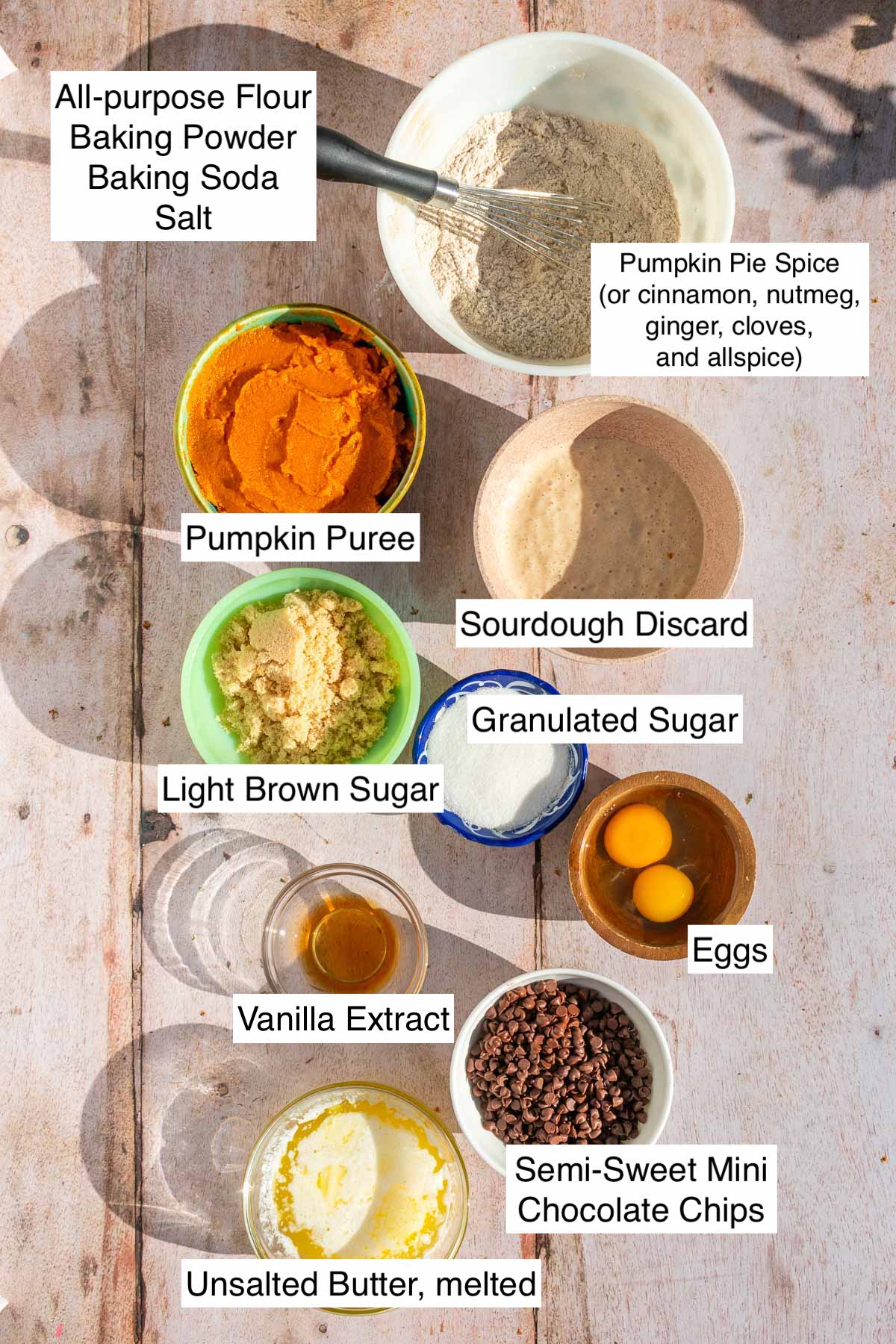 Bowls of labeled ingredients needed for sourdough pumpkin chocolate chip bread including, all-purpose flour, pumpkin pie spices, baking powder and soda, salt, pumpkin puree, eggs, granulated sugar, light brown sugar, melted butter, vanilla extract, and chocolate chips.