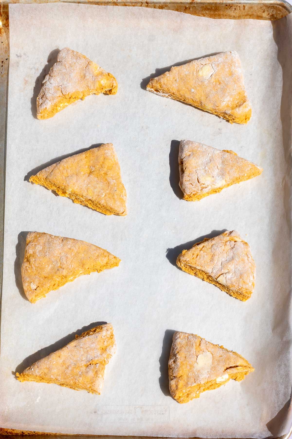 Eight unbaked sourdough pumpkin scones on a sheet pan with parchment paper.