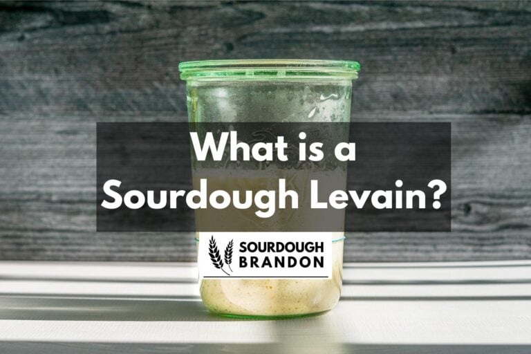 Jar of sourdough levain with text saying "What is a Sourdough Levain" and the Sourdough Brandon logo.