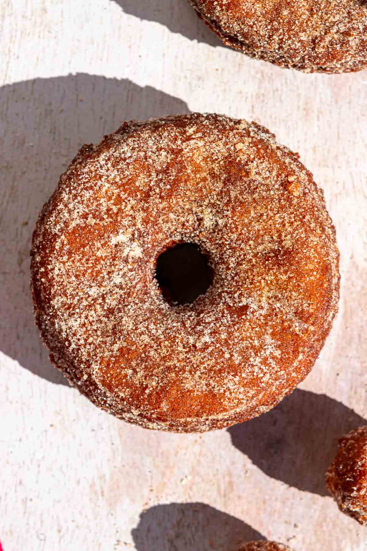 A sourdough apple cider donut coated in cinnamon sugar.