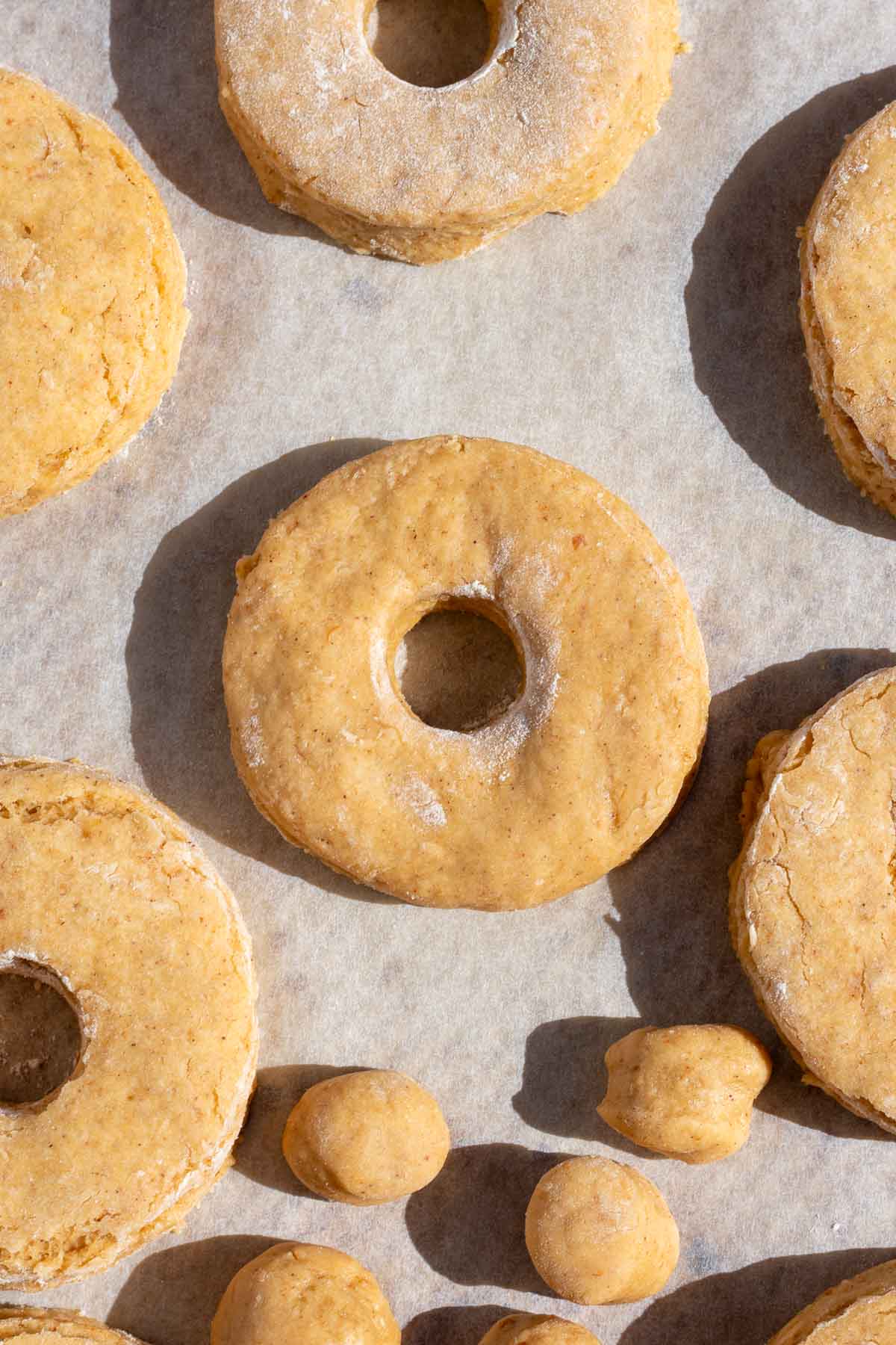 Cut outs of sourdough apple cider donuts on parchment paper before frying.