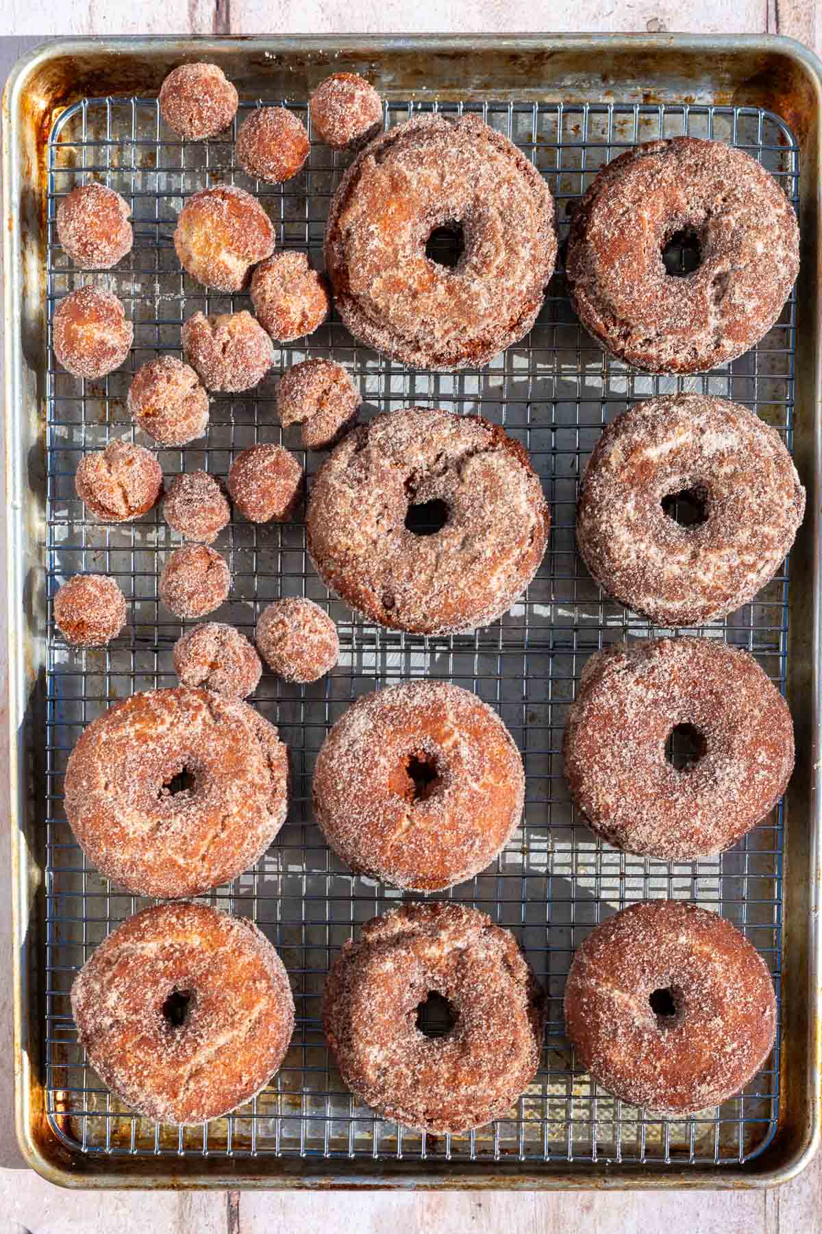 Sourdough apple cider donuts and donut holes coated in cinnamon sugar on a wire rack.