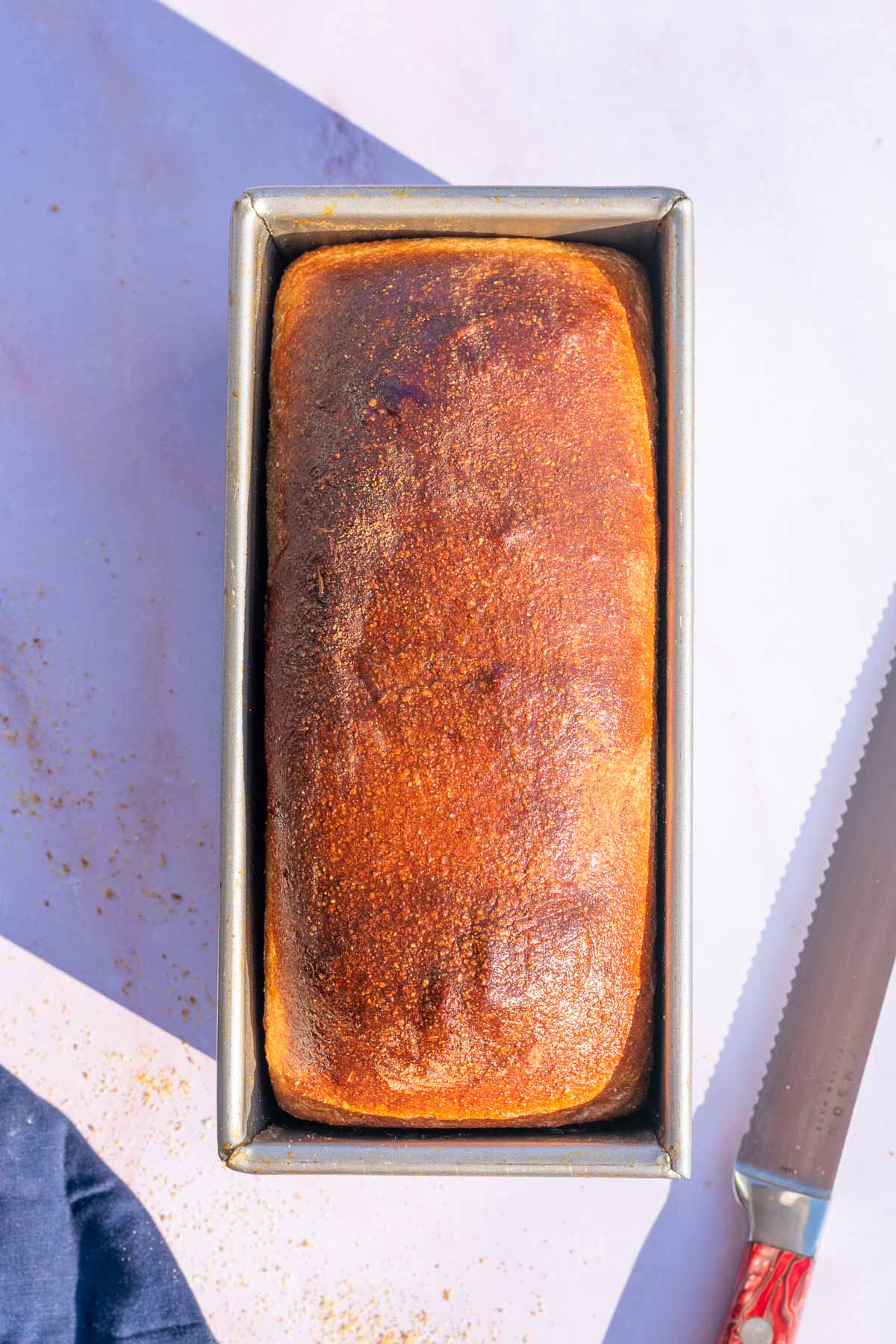 Baked sourdough anadama bread loaf in pan.