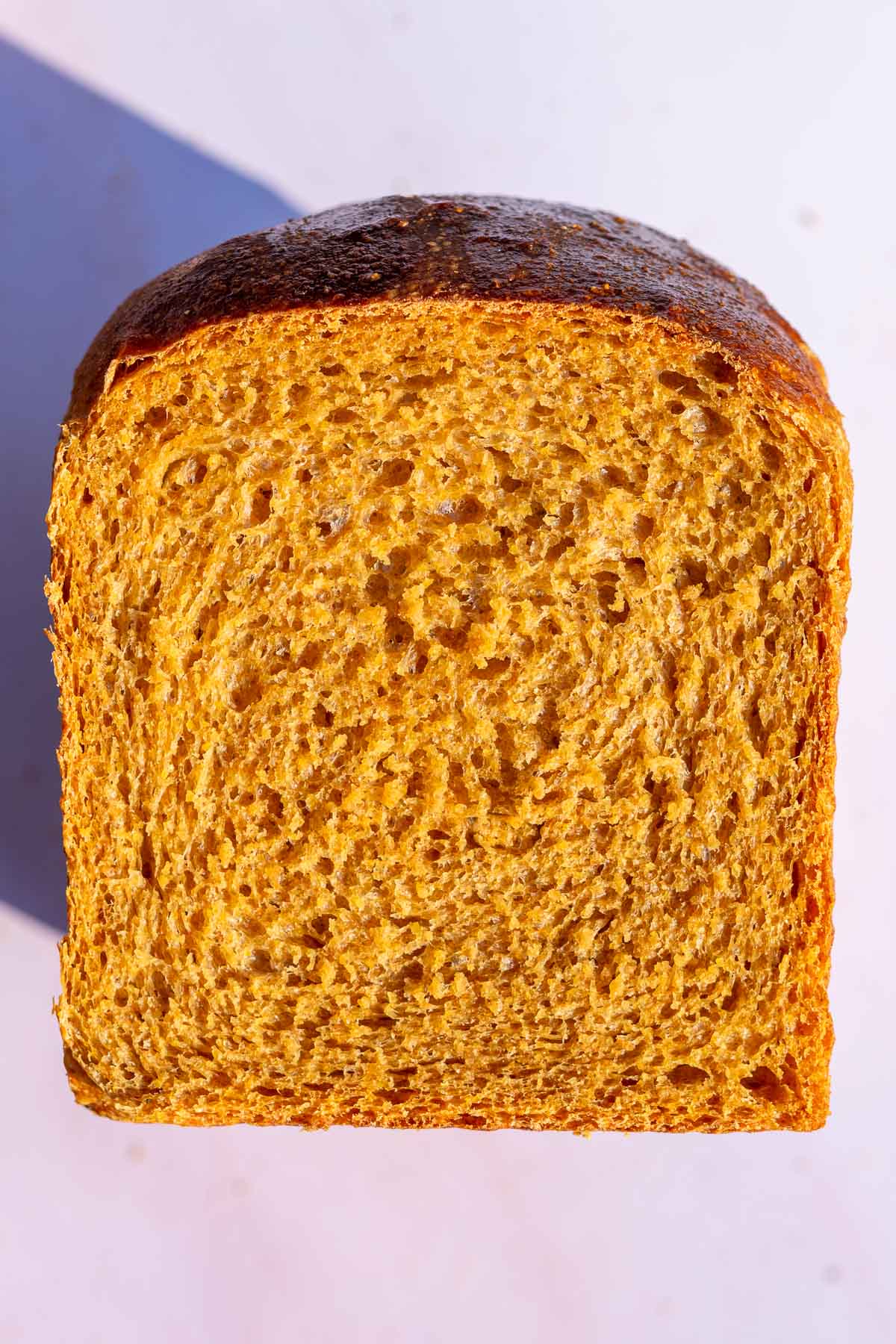 Close up interior crumb slice of sourdough anadama bread. 