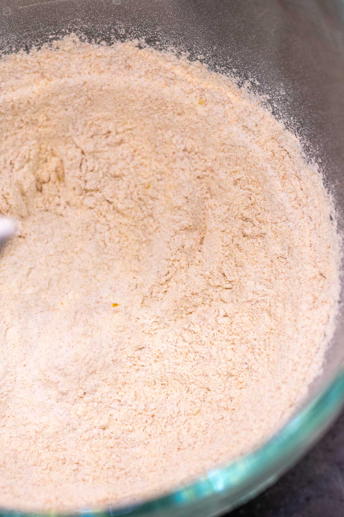 Bread flour, whole wheat flour, and salt mixed together in a bowl.