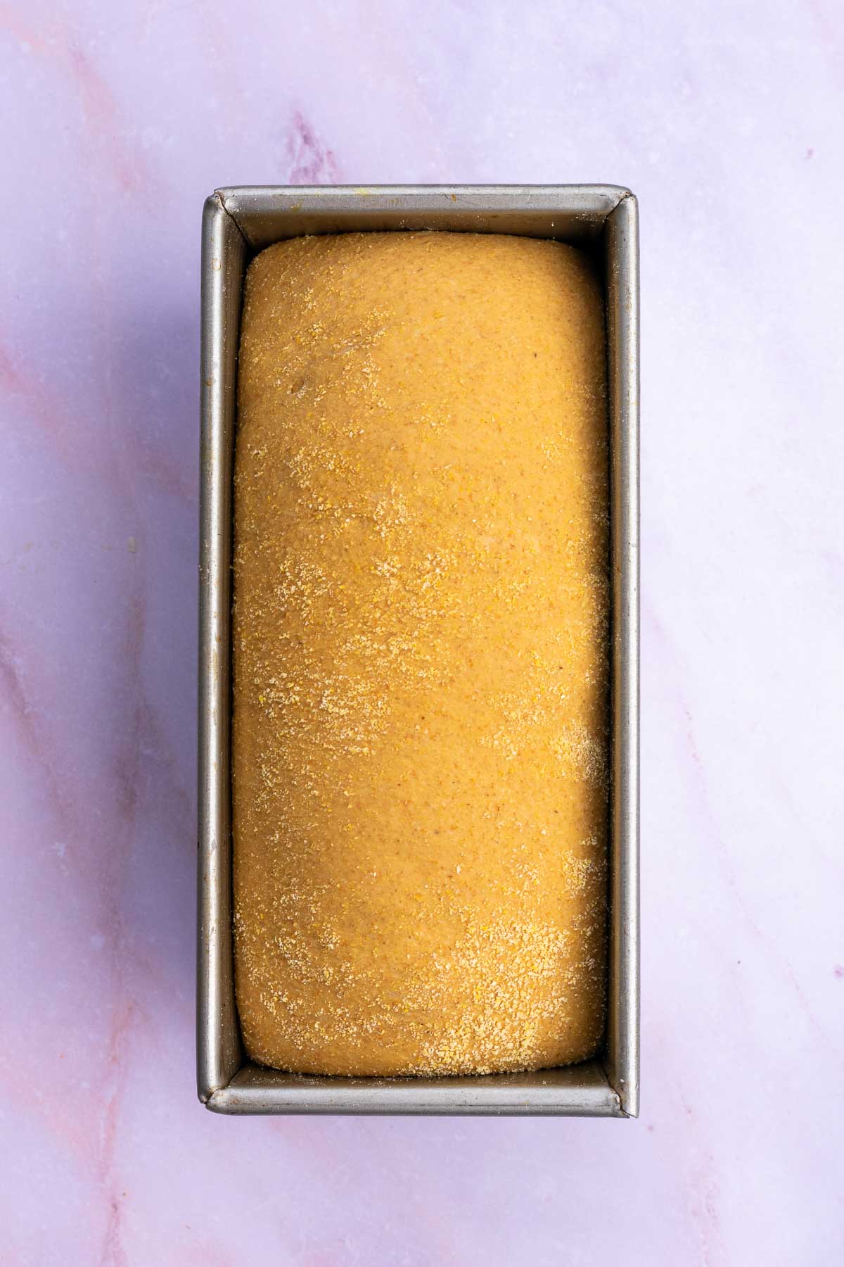 Sourdough anadama bread in bread pan at the end of final proofing and over doubled in size.