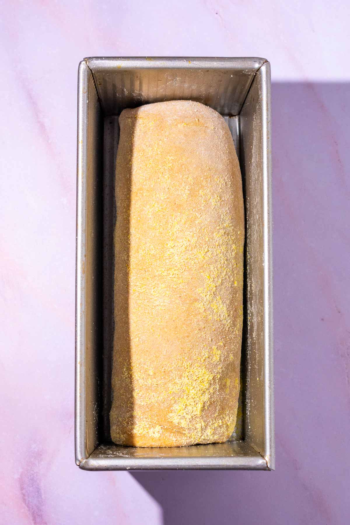 Sourdough anadama bread in bread pan at the start of final proofing.